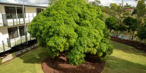 11.ESTIA-190524-Estia Southport-0L1A9205-carousel_1016x512-WEB.jpg