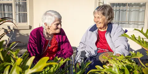 What is palliative care?